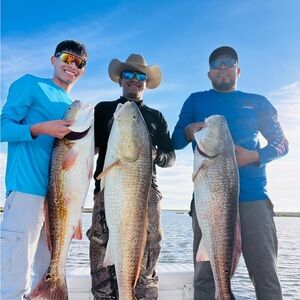 Meet your Posher, Elvin